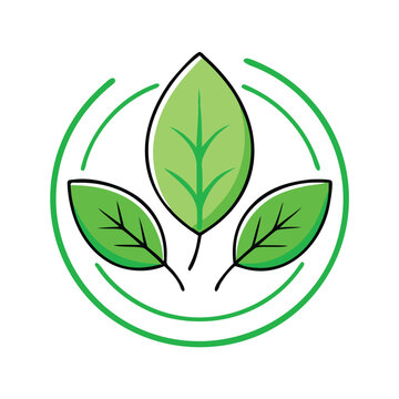 Sustainability & Elegance